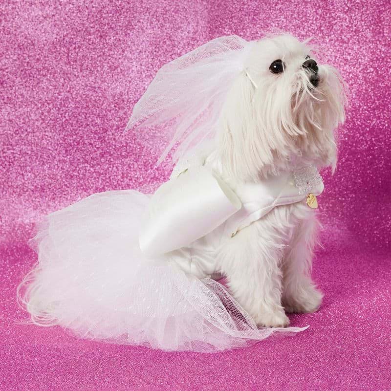 Bride's Maid İpek Köpek Gelinlik resmi
