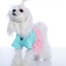 Pinky Minty Köpek Elbise resmi