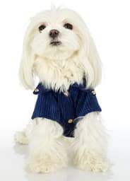 Navy Kalın Kız Köpek Gömlek Ceket resmi